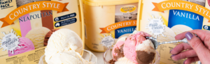 Country Style Nut Free Neapolitan Vanilla Ice Cream