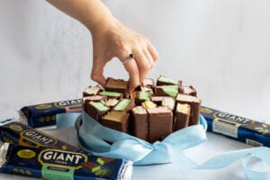 Giant Twins Ice Cream Cake
